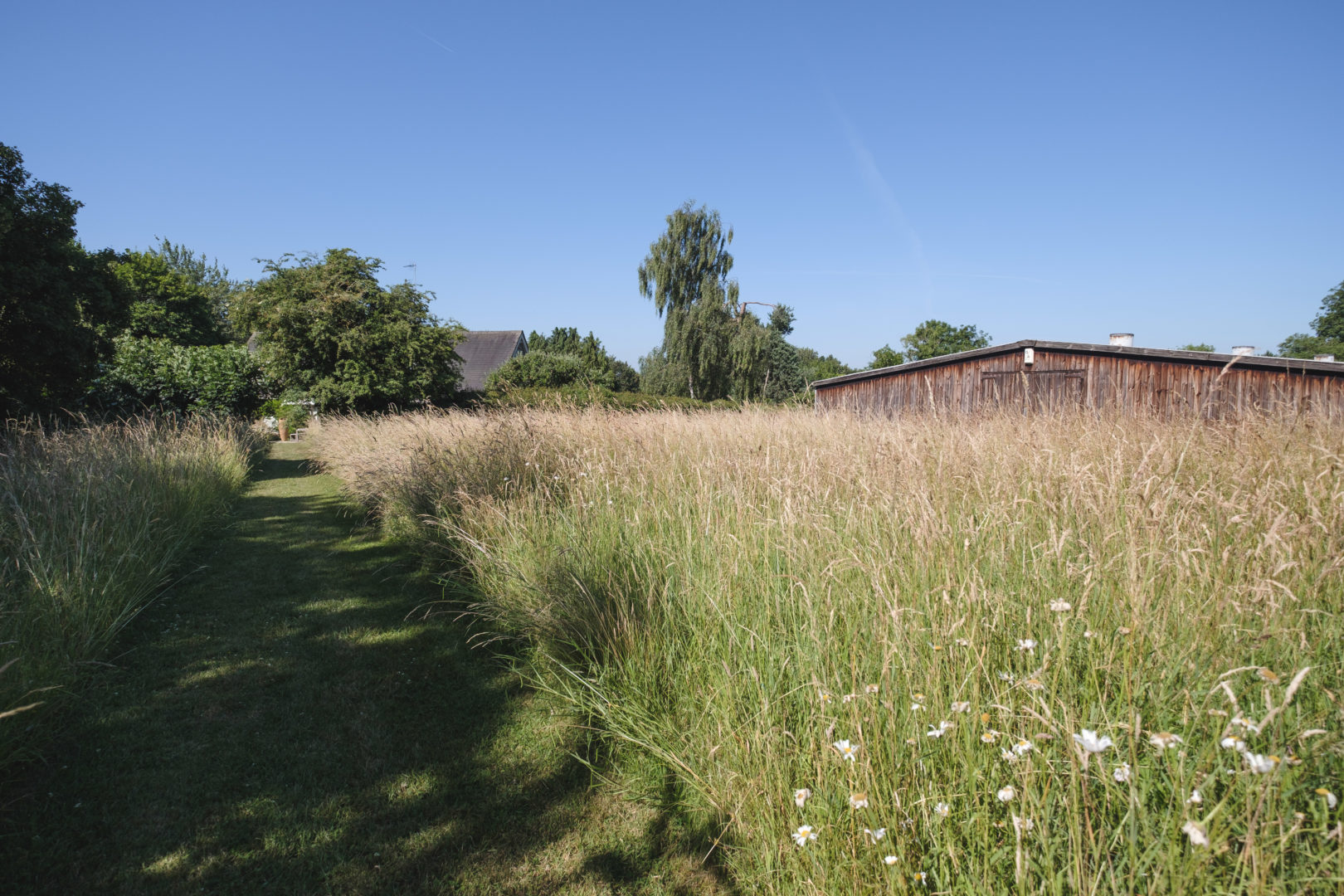 Aucoot - Grasslands - Vitsoe - A Modern House and Studio in the Countryside