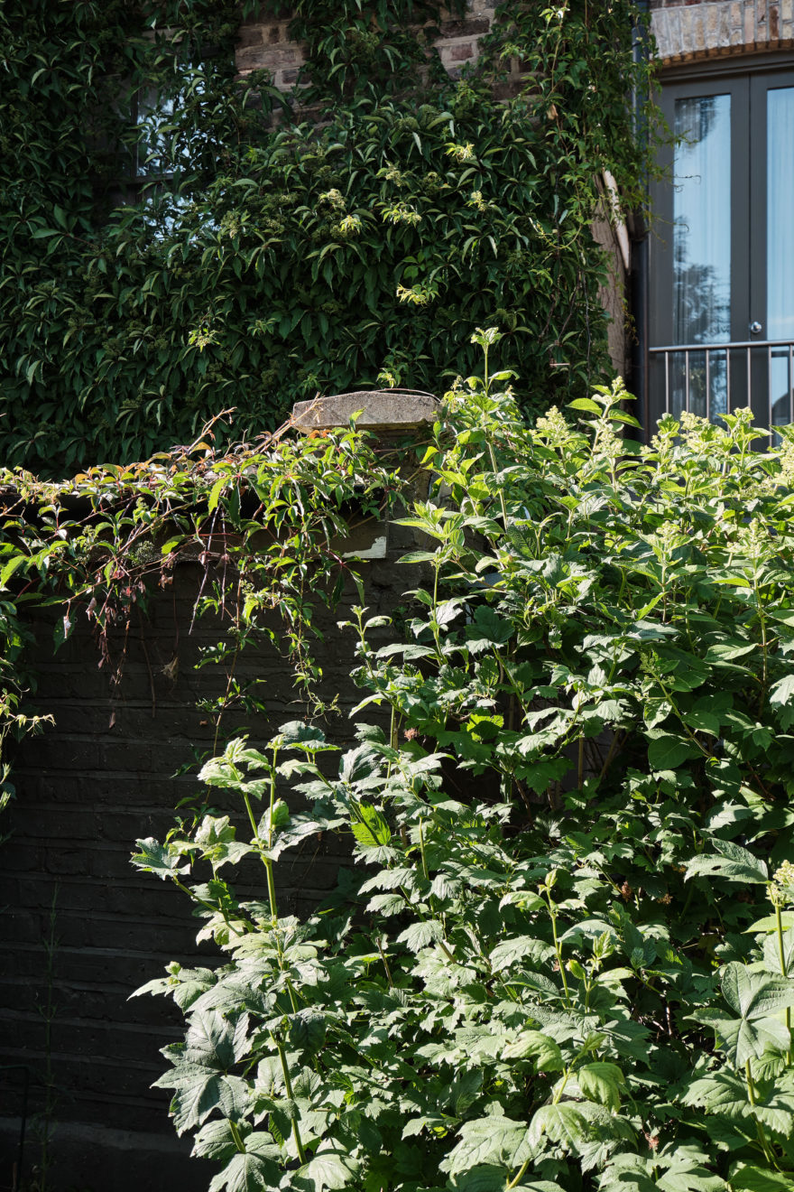 Sandringham-Road-Aucoot-Victorian-house-modern-refurbishment