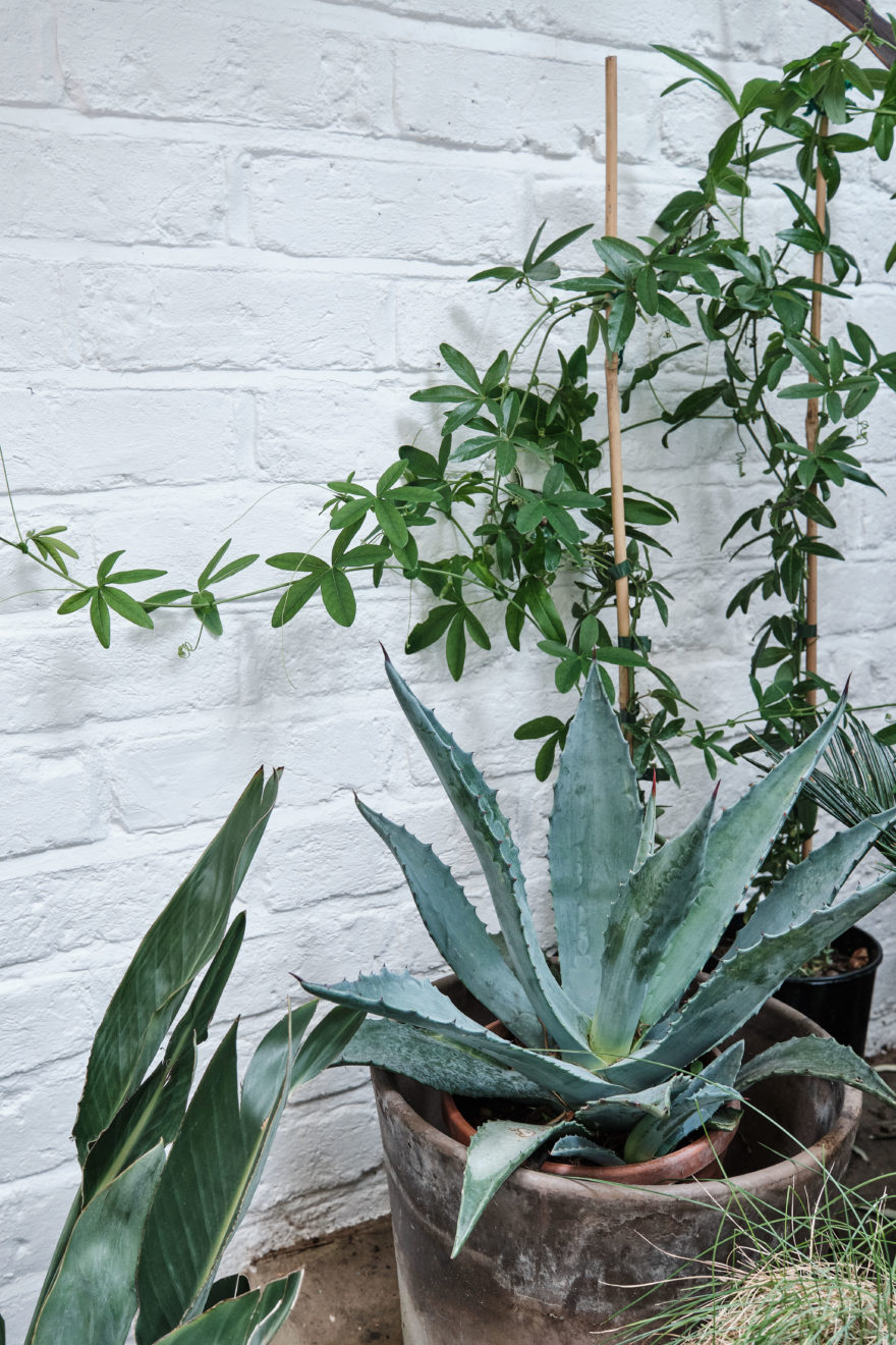 Richmond-Road-London-Fields-Aucoot-Victorian-house-basement-flat-modern-refurbishment