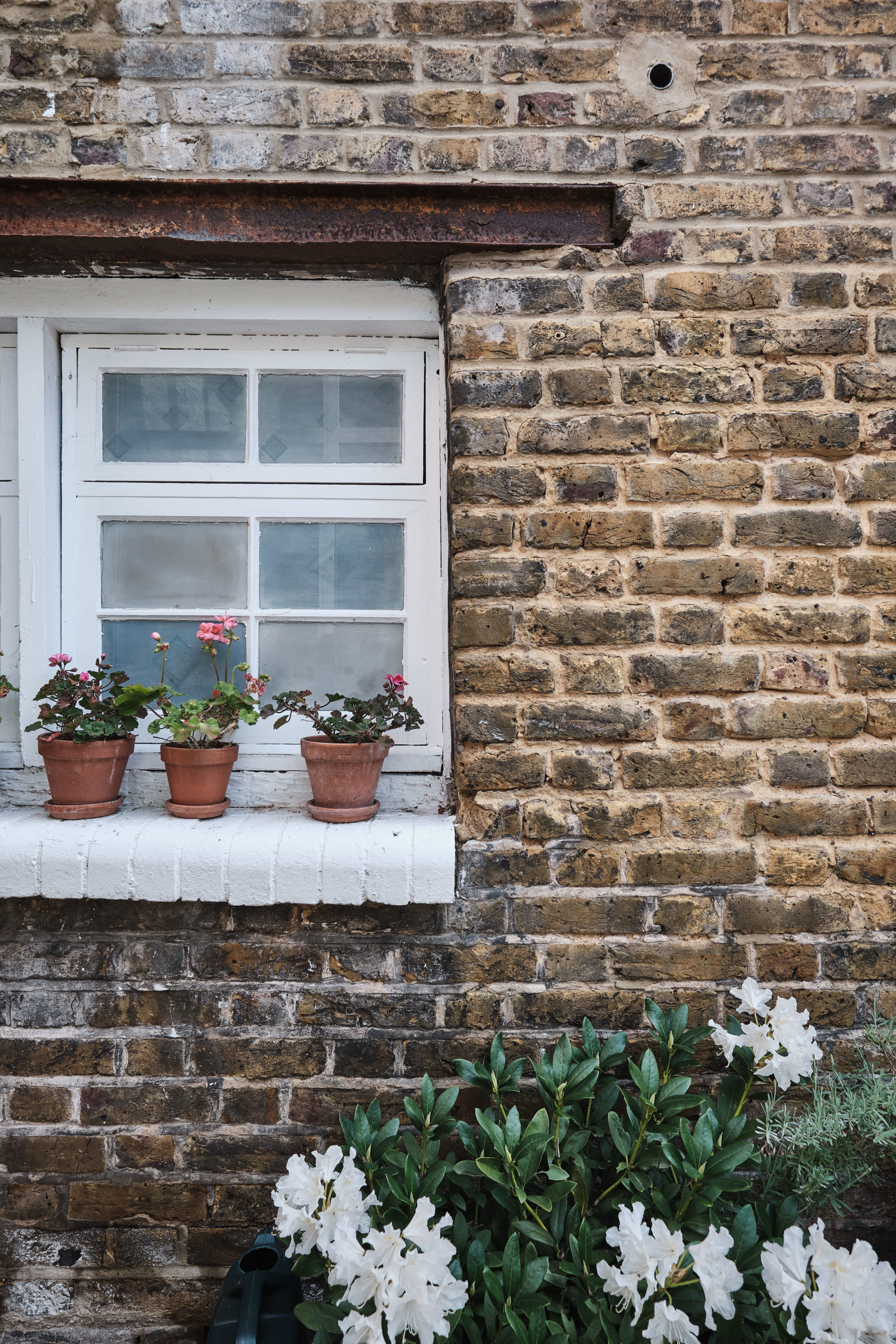 Columbia Road garden