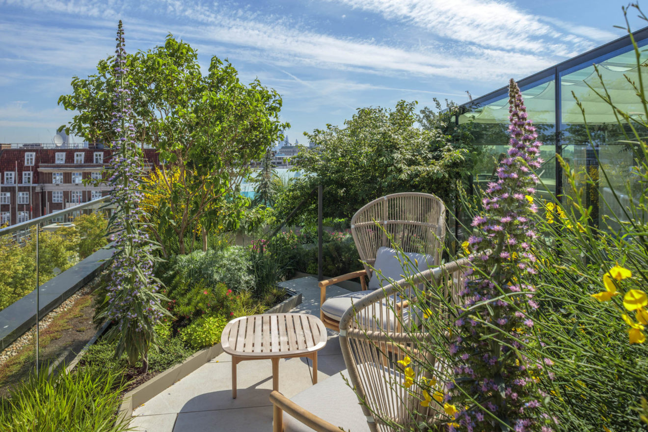 cameron gardens - mayfair penthouse - clive nichols - aucoot estate agent