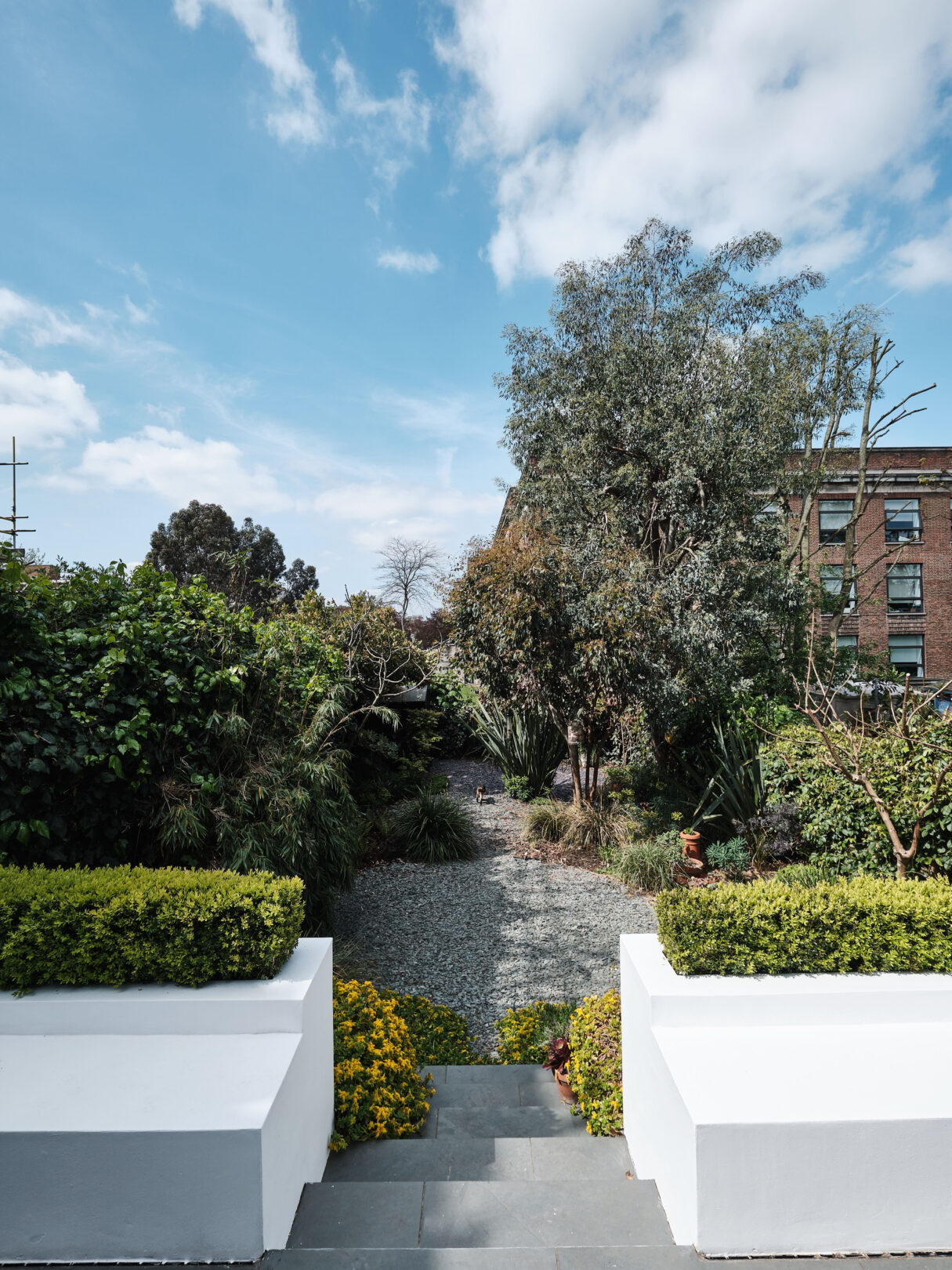 Spruce-Hills-Rd-Aucoot-DeDraft-Architects-House-for-sale-Walthamstow